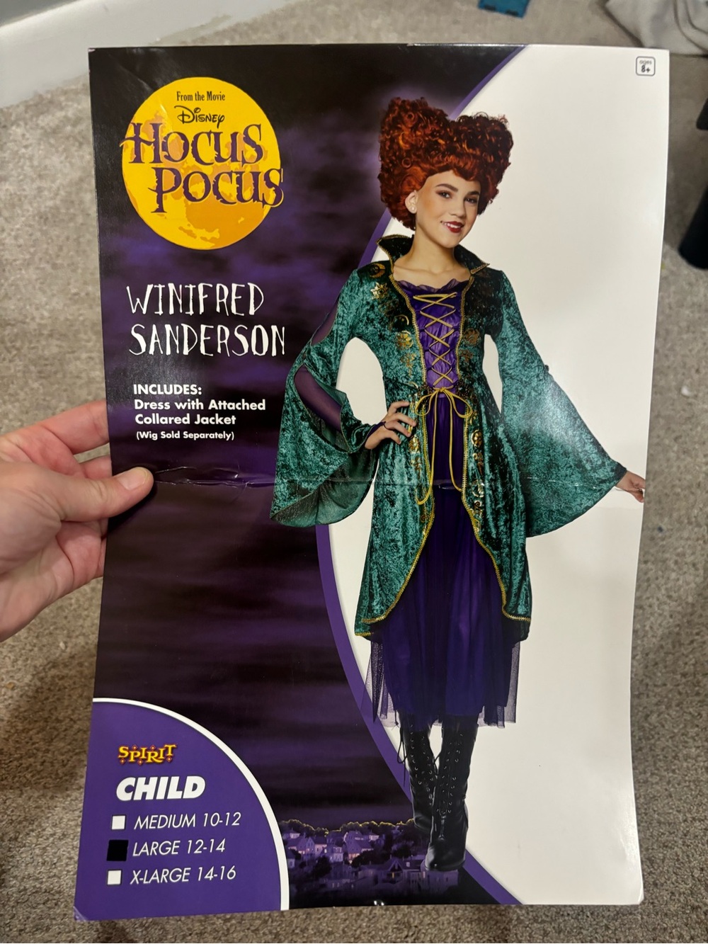 Hocus Pocus Winifred Sanderson Halloween Costume Dress Girl Size Large 12-14